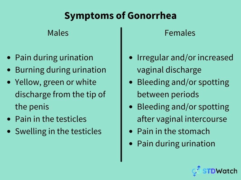 Gonorrhea Everything You Need To Know Stdwatch