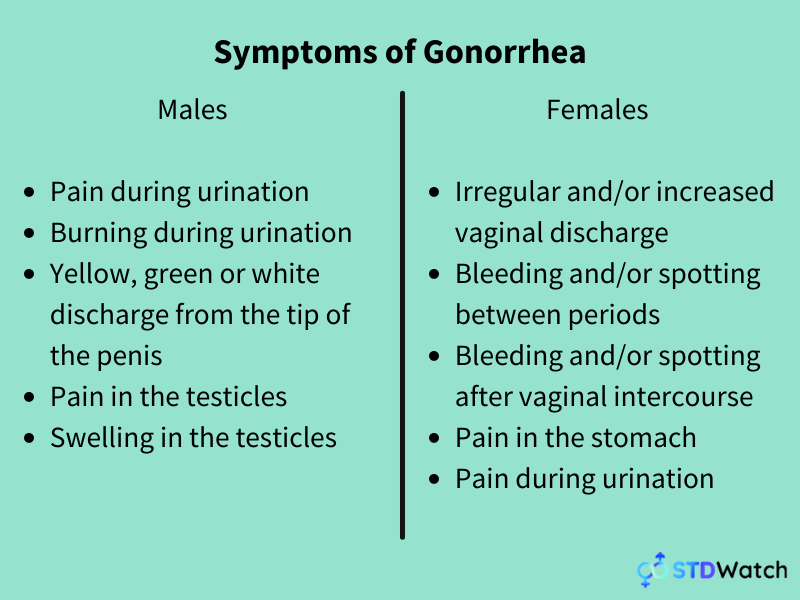 Gonorrhea Symptoms What Are The Symptoms Of Gonorrhea STDWatch