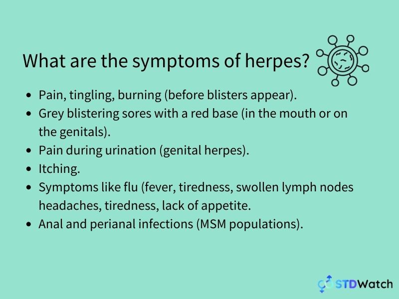 Herpes - Everything You Need To Know | STDWatch.com