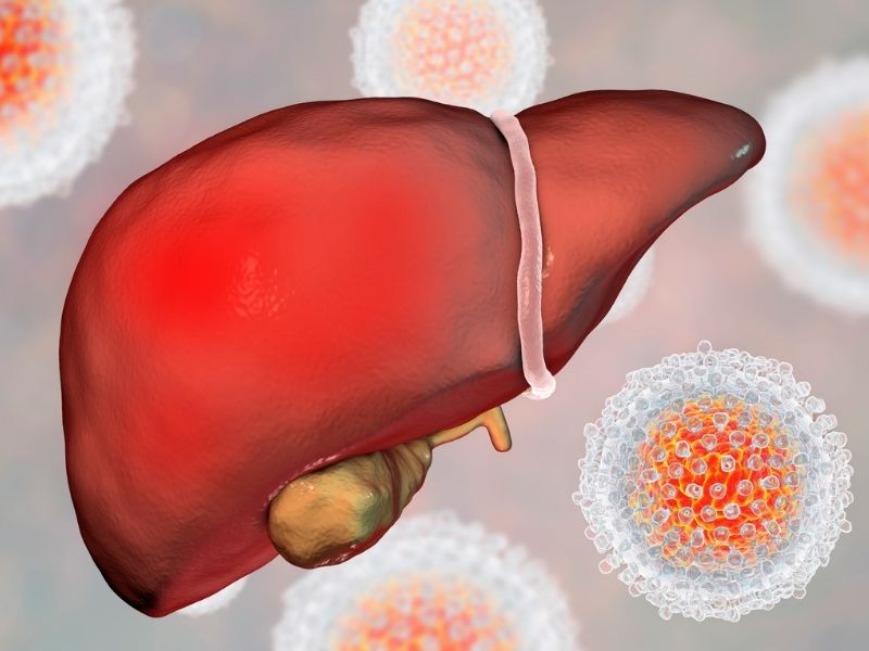 Hepatitis - Everything you need to know | STDWatch.com