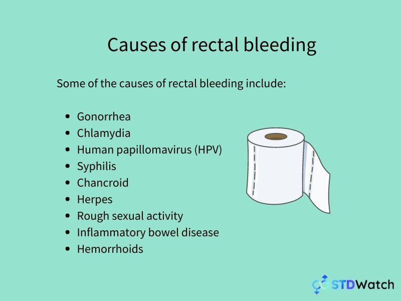 Rectal Bleeding Causes Treatments When To Go To The Doctor 